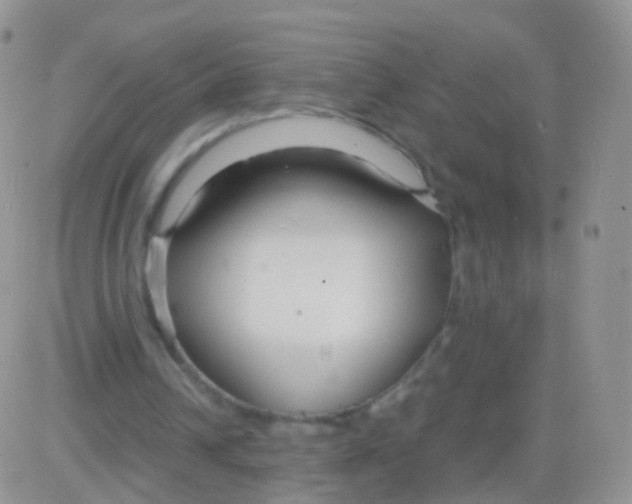 X0000083060242200702232028