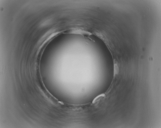 X0000083060243200702232028