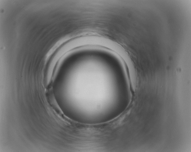 X0000083060244200702232028