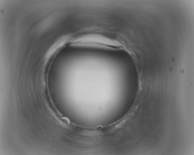 X0000083060245200702232028