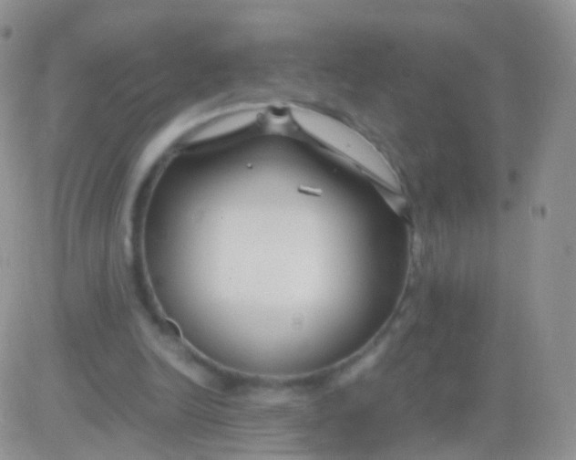 X0000083060246200702232028