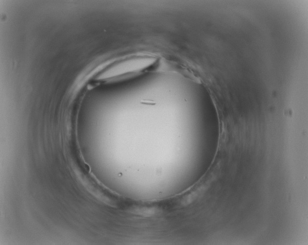 X0000083060247200702232028