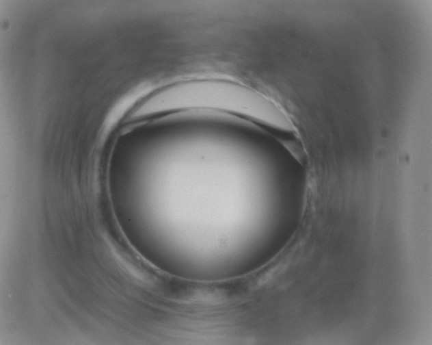 X0000083060248200702232028