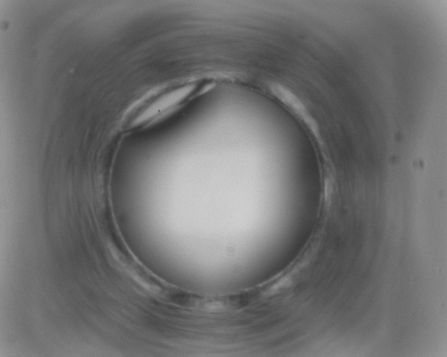 X0000083060249200702232028