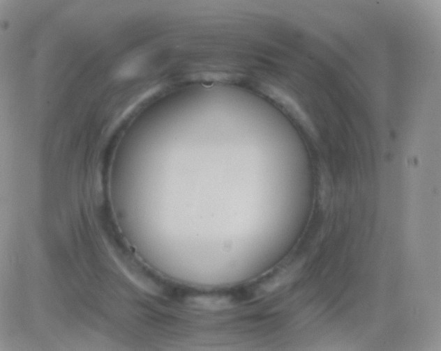 X0000083060251200702232028