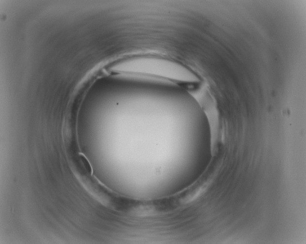 X0000083060252200702232028