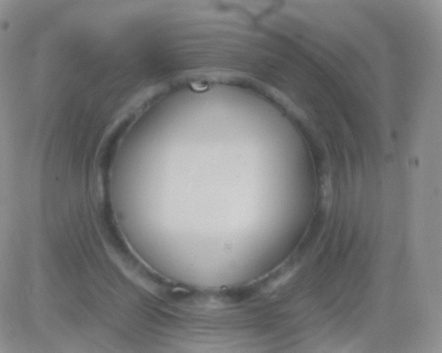 X0000083060254200702232028