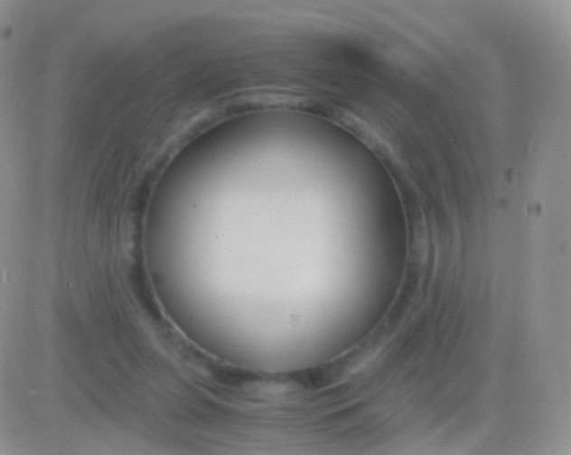 X0000083060255200702232028