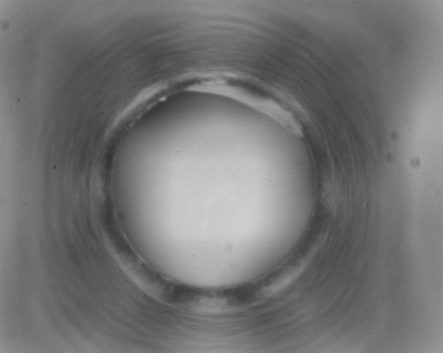 X0000083060256200702232028