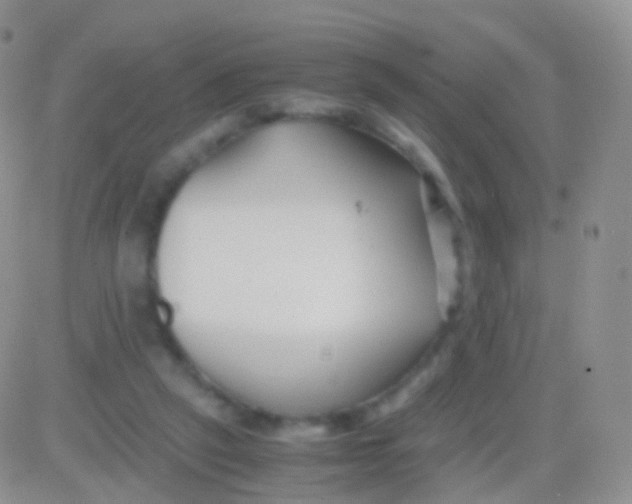 X0000083060257200702232028