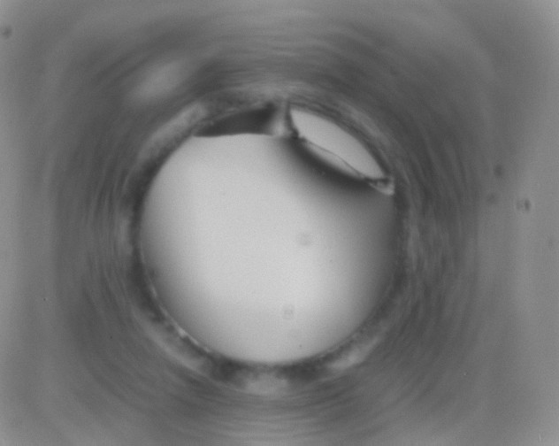 X0000083060258200702232028