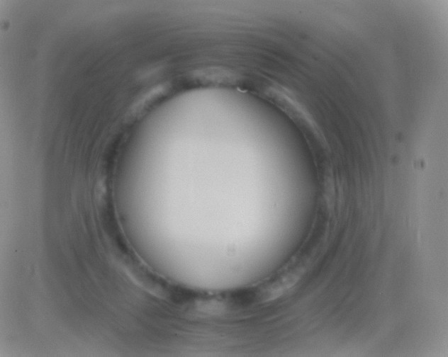 X0000083060259200702232029