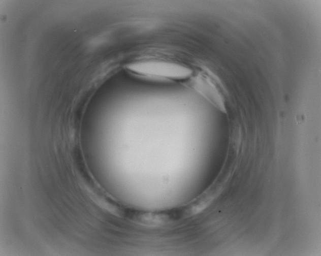 X0000083060261200702232029