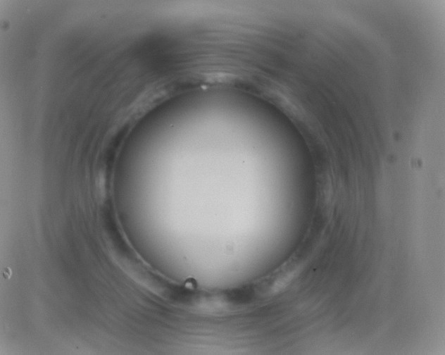 X0000083060262200702232029