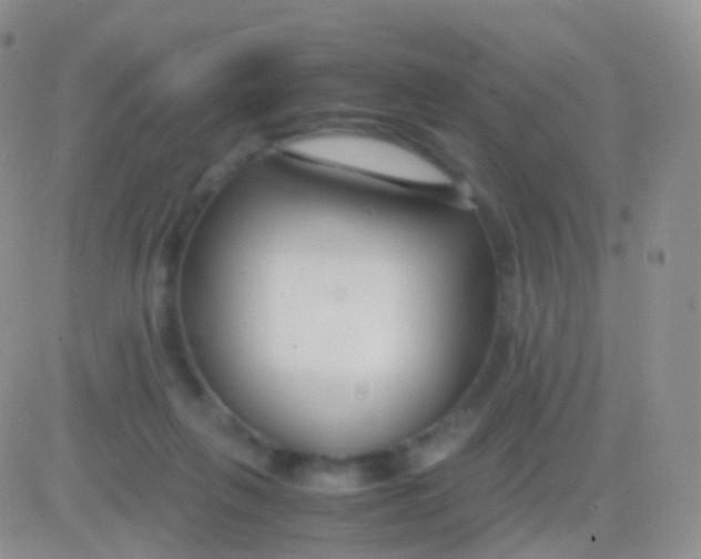 X0000083060263200702232029