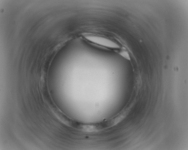 X0000083060265200702232029