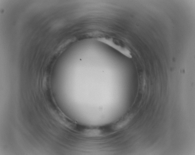 X0000083060266200702232029