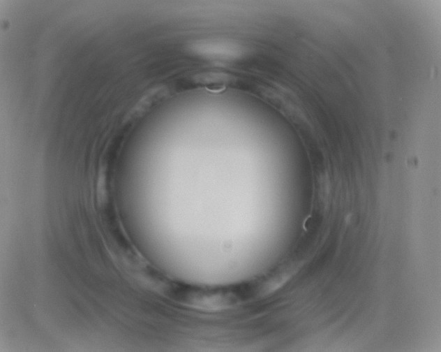 X0000083060267200702232029