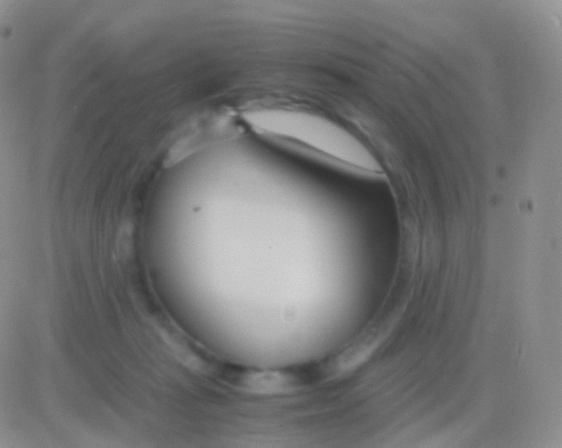 X0000083060269200702232029