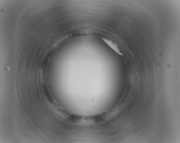 X0000083060270200702232029