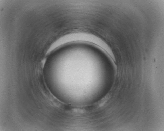 X0000083060272200702232029