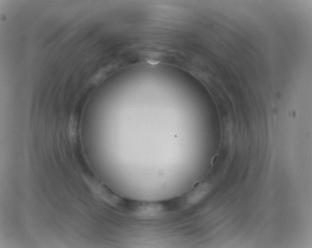 X0000083060274200702232029