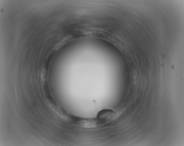 X0000083060275200702232029