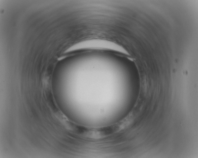 X0000083060276200702232029