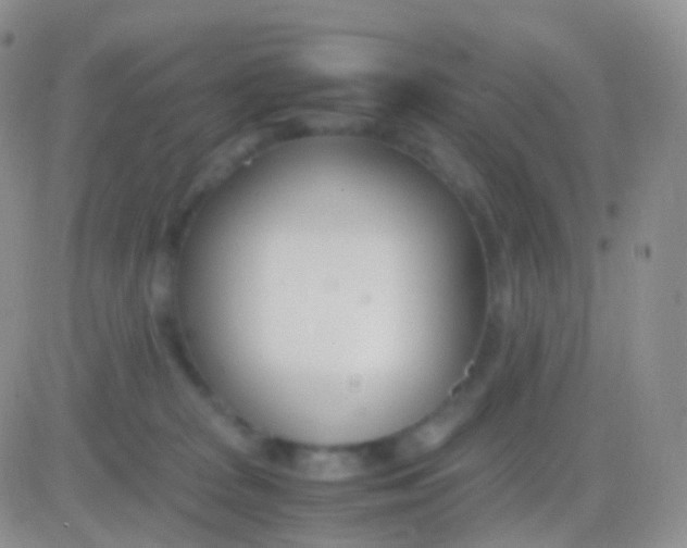 X0000083060277200702232029