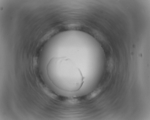 X0000083060278200702232029