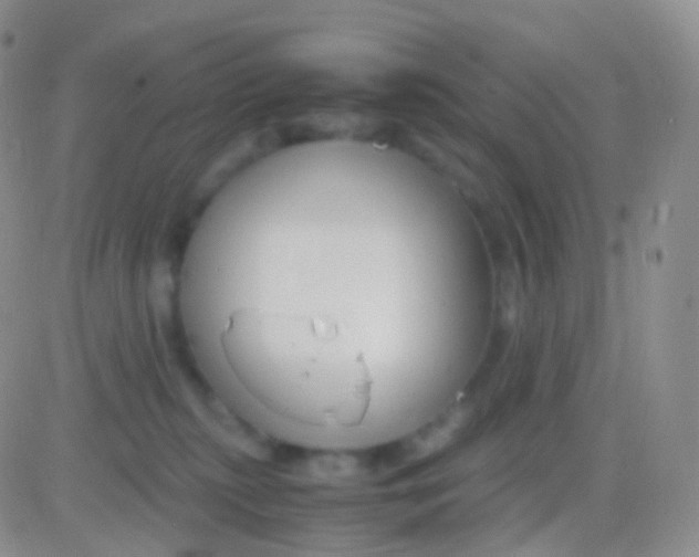 X0000083060279200702232029