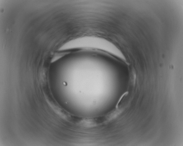 X0000083060280200702232029