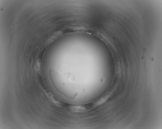 X0000083060281200702232029