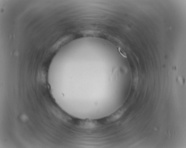 X0000083060282200702232029