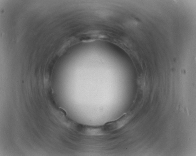 X0000083060283200702232029