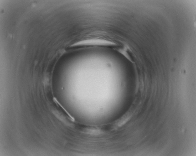 X0000083060284200702232029