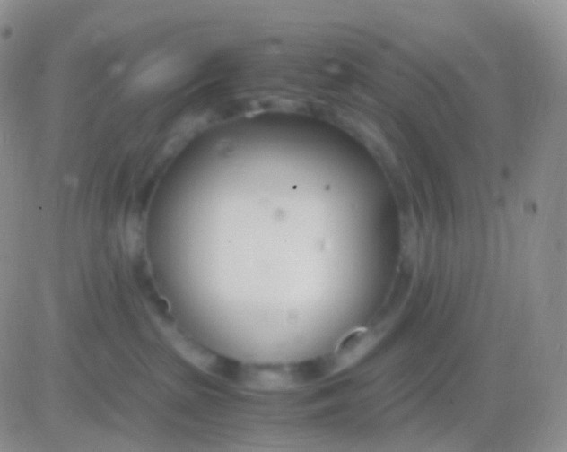 X0000083060285200702232029