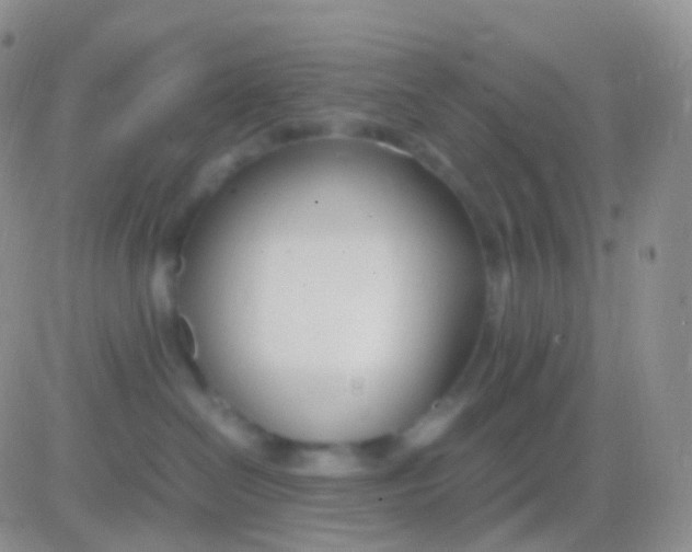 X0000083060286200702232029