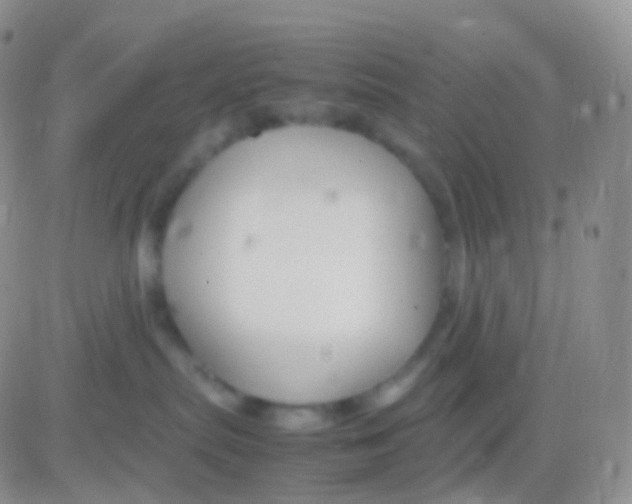 X0000083060287200702232029