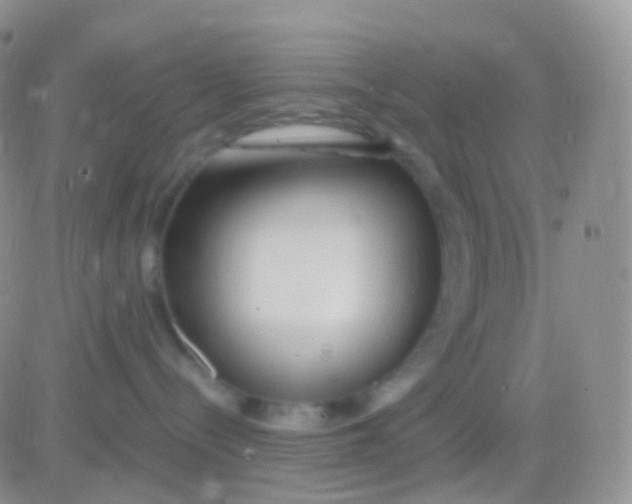 X0000083060288200702232029