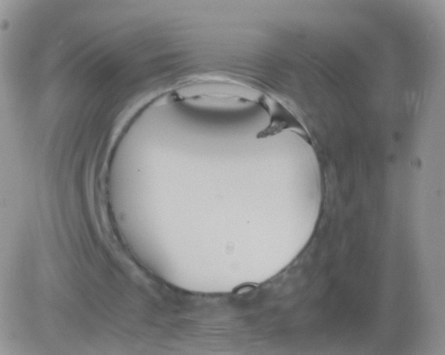 X0000083060289200702232028