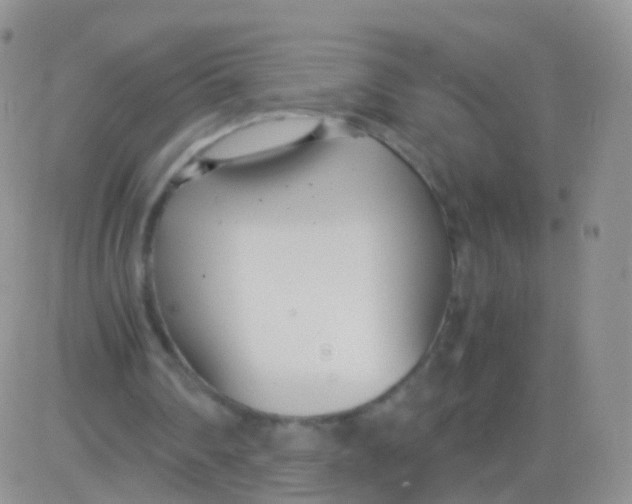 X0000083060290200702232028