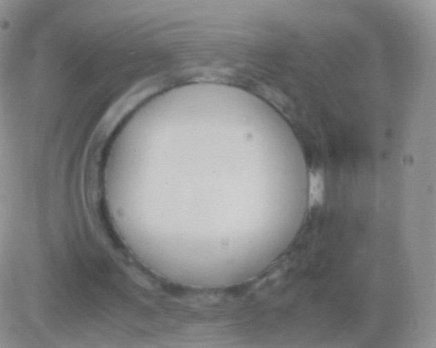 X0000083060291200702232028