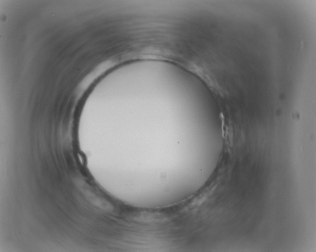 X0000083060292200702232028