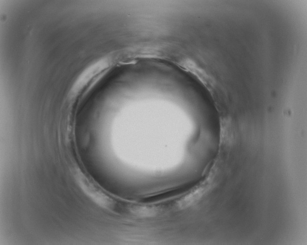 X0000083060293200702232028