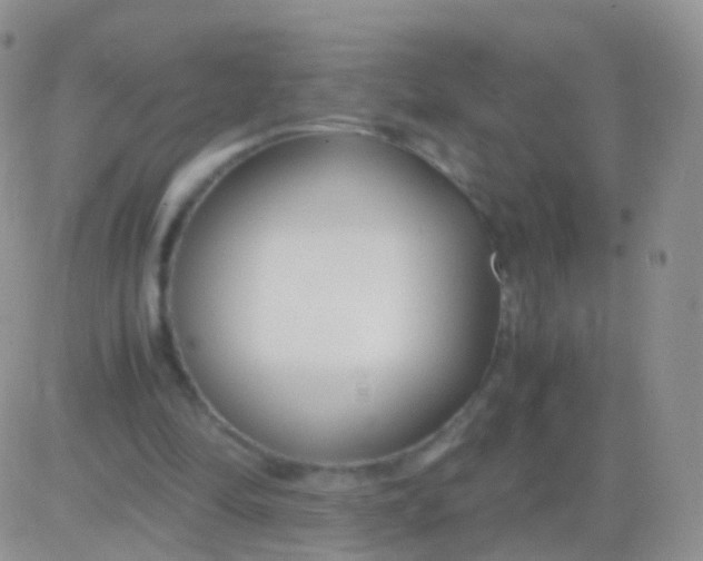 X0000083060294200702232028