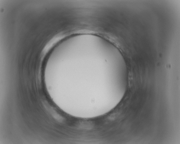 X0000083060296200702232028