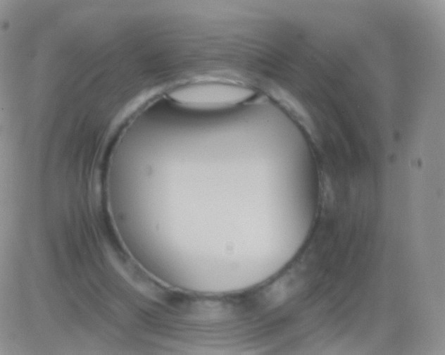 X0000083060298200702232028