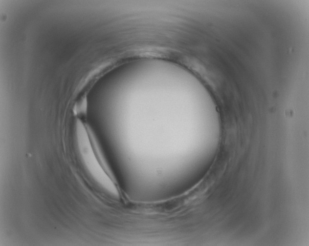 X0000083060299200702232028