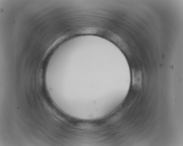 X0000083060300200702232028